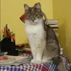 Отзыв от Лилия Карасева